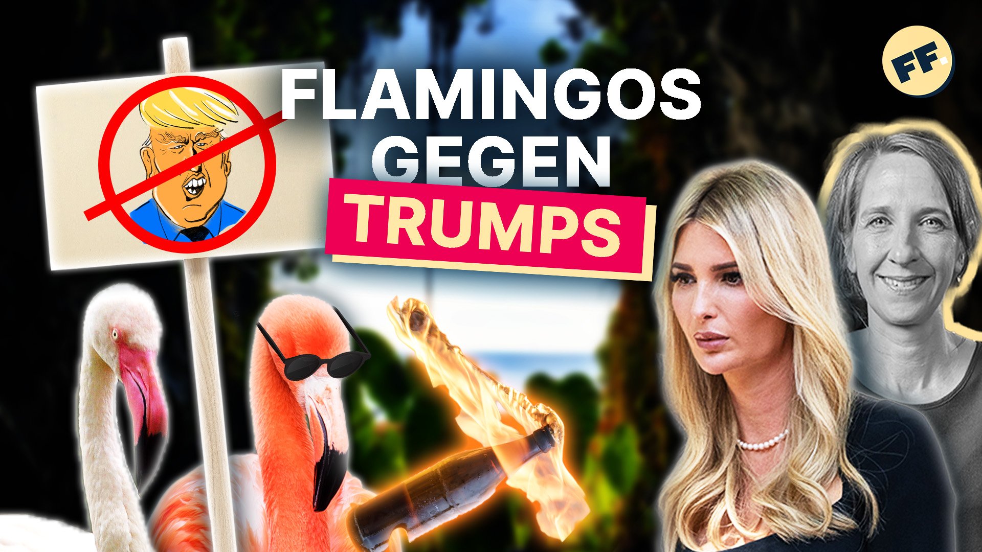 So pink wird gerade ein Naturschutzgebiet gerettet | Fun Facts mit Sarah Hakenberg