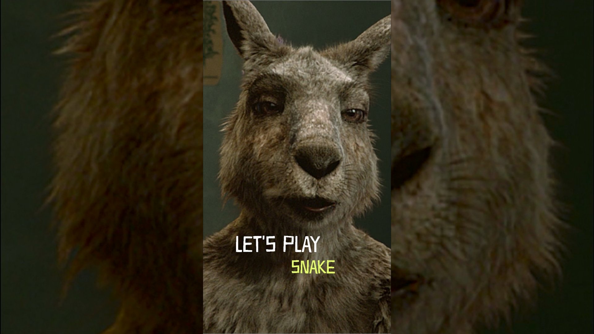 Let's Play Snake