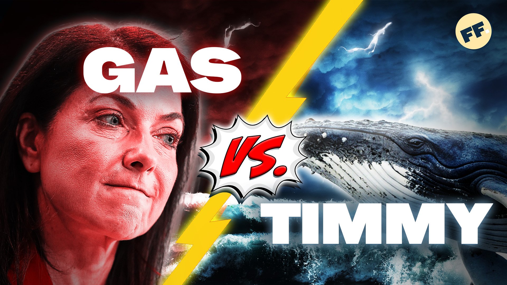 Wie Flüssiggas Wale attackiert | Fun Facts mit Kathrin Hartmann